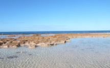 Vendredi prochain les scientifiques polynésiens nous expliquent le changement climatique