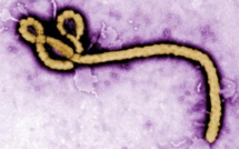 Ebola : Débuts difficiles pour la campagne d'information en Sierra Leone confinée