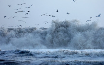La Californie menacée par un cyclone après des tempêtes historiques