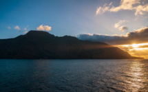 Terres australes françaises: l'écosystème de l'île Amsterdam bientôt libéré des animaux introduits