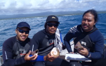 Le troca, ressource côtière d’avenir au Samoa