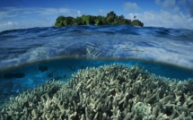 Les Etats-Unis créent le plus vaste sanctuaire marin dans le Pacifique