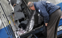 Braquage d'un fourgon blindé en Allemagne: cinq suspects mis en examen à Paris et incarcérés