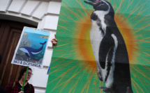 Chili: rejet d'un projet minier contesté pour son possible impact sur l'environnement