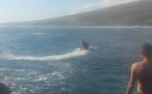 Australie: un surfeur de 23 ans grièvement blessé par un requin