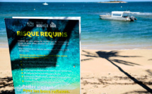 Une femme grièvement blessée par un requin en Nouvelle-Calédonie