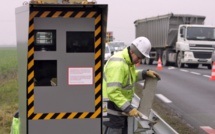 Des fourmis détruisent un radar automobile