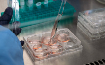 Innovation en cancérologie: lancement près de Paris d'un site de référence international