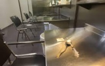 Expérimentation de "salles de shoot": Touraine "parle de santé, pas d'idéologie"