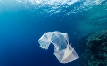 Un million et demi d'animaux victimes des déchets plastiques dans les océans