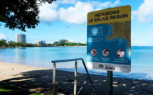 Nouvelle-Calédonie: attaque mortelle de requin à Nouméa