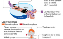 Ebola: cinq questions-clés sur un virus tueur
