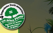 Un outil pour calculer son "empreinte forêt"