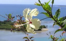 Biodiversité: une conférence sur l'enjeu crucial de l'outre-mer européenne