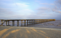 Argentine: les restes d'un homme disparu retrouvés dans l'estomac d'un requin