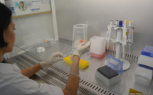 Chikungunya : le laboratoire Malardé reçoit une centaine de prélèvements par jour