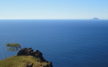 Aire marine protégée aux Marquises : la culture défend l'océan