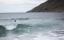 Au large de l'Afrique du Sud, des orques tueuses de requins