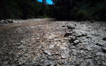 L'Agence de l'eau alerte sur la baisse des débits du Rhône avec le changement climatique