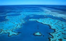 Le plan australien ne sauvera pas la Grande barrière de corail, selon l'Académie des sciences australienne
