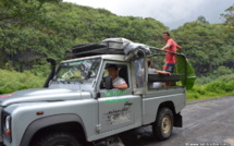 Tourisme : Baisse de la fréquentation, hausse du remplissage des hôtels