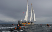 La goélette Tara va scruter les écosystèmes côtiers européens