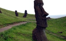 Des liens génétiques entre les Rapa Nui et les Amérindiens