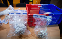 Des coraux protégés remis par les douanes à Océanopolis