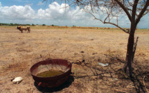 Guadeloupe: sècheresse et séquelles de la tempête Fiona causent une pénurie d'eau
