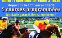 Hippisme: Dernière course de la saison mardi 11 novembre
