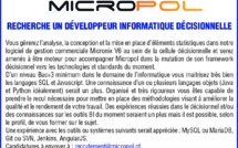 La société Micropol recherche un Développeur Informatique Décisionnelle
