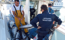 Le thon tropical, au centre d'une industrie mondialisée