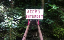 Bientôt une passerelle "api", vallée de Fautaua