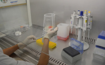 Maladies infectieuses : le Pacifique fait le point en Polynésie