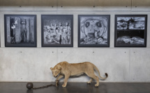 Afrique du Sud: le photographe Roger Ballen expose les ravages de l'homme sur la nature