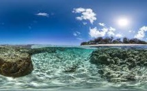 Aires protégées: la sanctuarisation progresse mais les fonds manquent