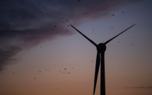 Au large du Cotentin, le 8e et plus grand parc éolien français s'annonce, avant les suivants