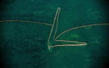 Google s'engage dans la lutte contre la pêche illégale