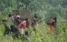 Affrontements intertribaux en Papouasie-Nouvelle-Guinée : au moins 25 mort, selon les derniers bilans