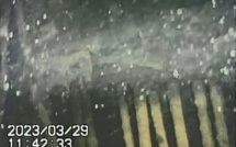 Fukushima: de nouvelles images montrent les dégâts dans un réacteur