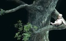 Conférence environnementale: la Fondation Nicolas Hulot rend publiques 22 revendications