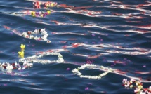 Va’a : Victoire en V1 pour Willy Ah Min à Tautira, hommage à Antony Tinirau à Taapuna