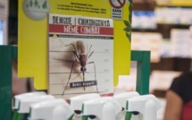Chikungunya : 4 000 consultations par semaine à Tahiti