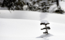 Grâce aux neiges du Colorado, l'Ouest américain espère un bref répit à sa sécheresse