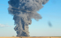 Etats-Unis: 18.000 vaches tuées dans l'explosion d'une ferme