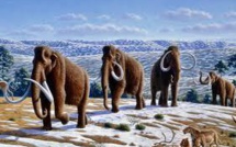 Les mastodontes ont disparu de l'Arctique avant l'arrivée des premiers humains