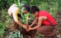 L'Amérique Latine s'engage à reboiser près de 20 millions d'hectares