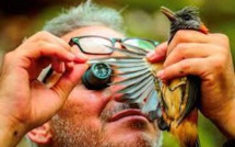 Biodiversité : le "Monde perdu" du Lengguru promet des dizaines de nouvelles espèces