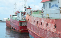 Pêche hauturière : le Pays quitte la partie et livre le secteur au Privé