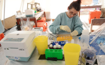 Cas suspect d'Ebola: quelle prise en charge et quelles précautions?